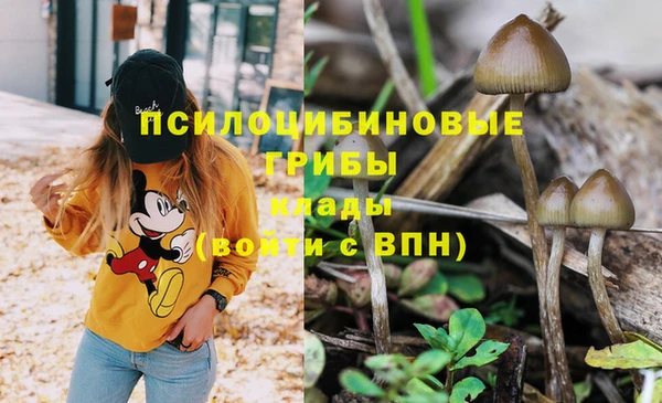 гашик Алзамай