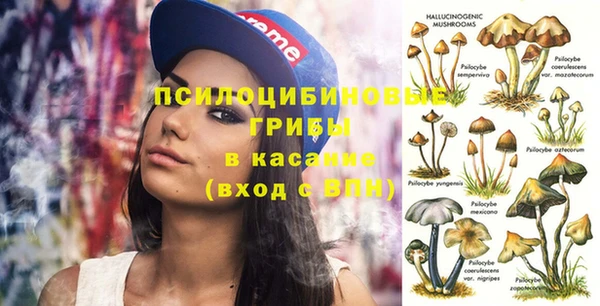 гашик Алзамай