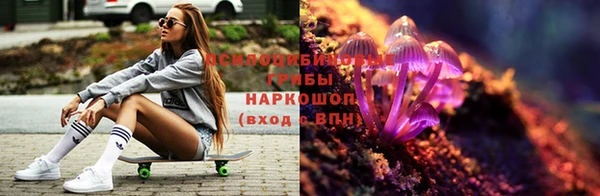герыч Алексин